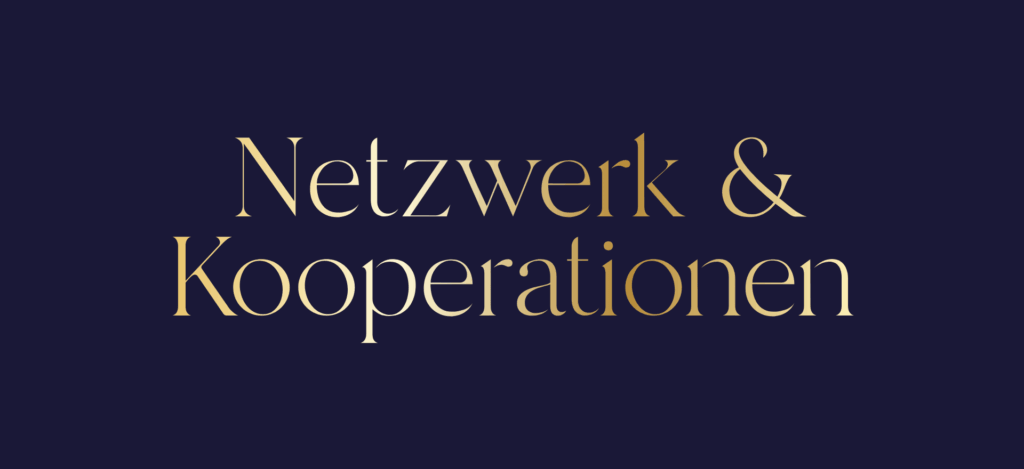 Innovision So lernst du Verkaufen mit Netzwerken & Kooperation